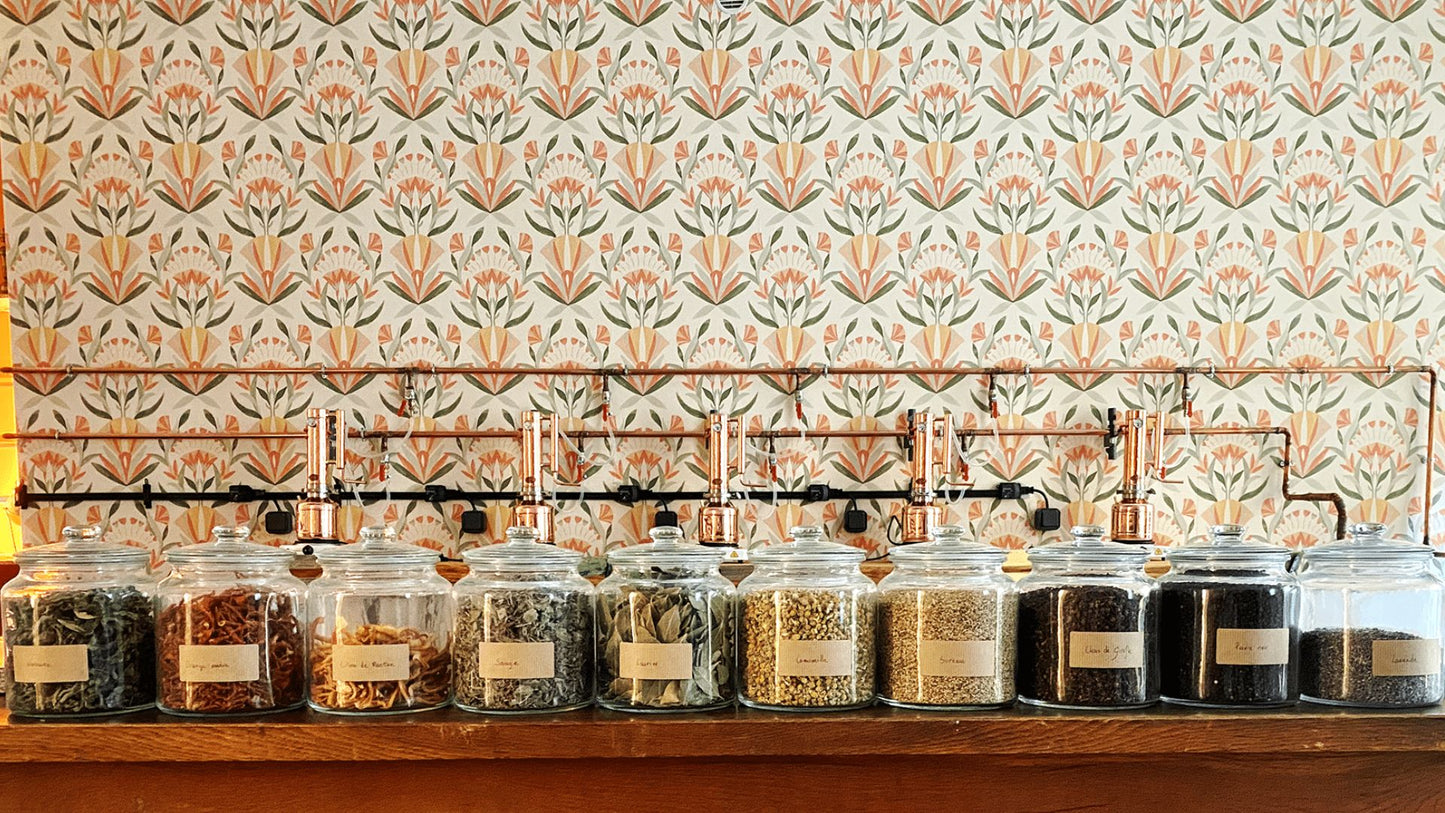 Tour and Tasting of 3 Artisanal Spirits – Nice