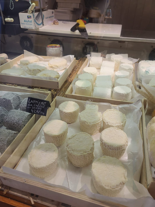 5 Cheese Tasting in Nice – French &amp; Italian Cheeses